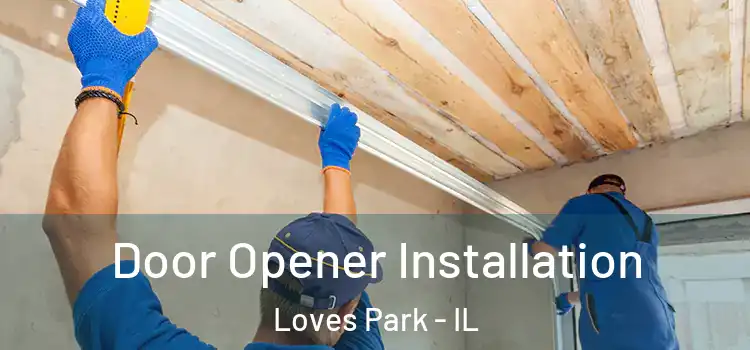 Door Opener Installation Loves Park - IL