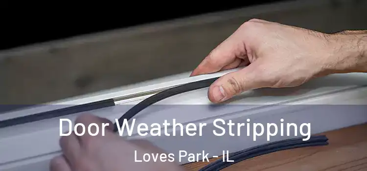 Door Weather Stripping Loves Park - IL