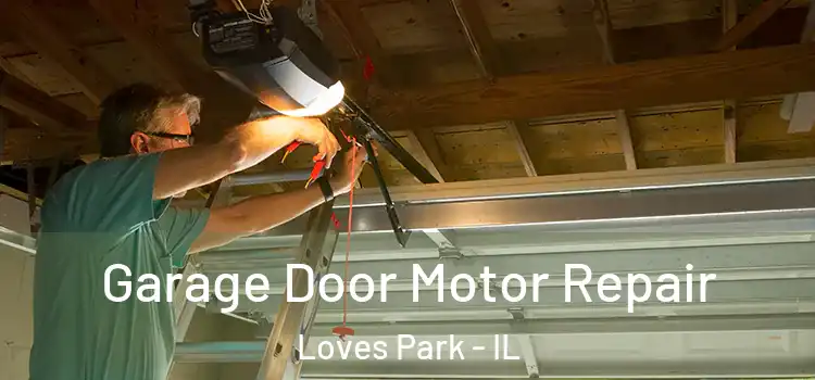  Garage Door Motor Repair Loves Park - IL