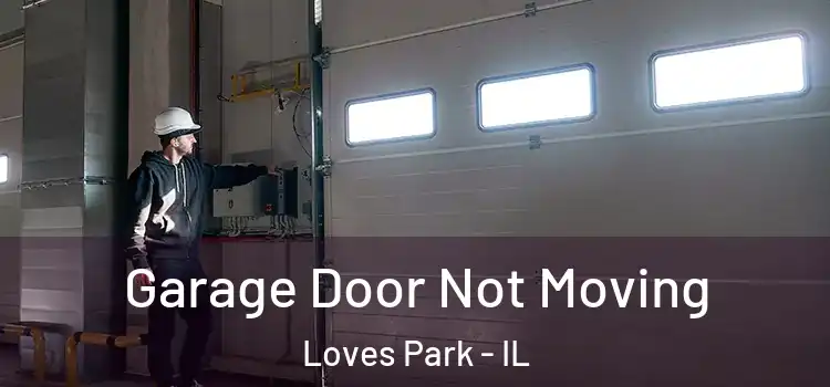  Garage Door Not Moving Loves Park - IL