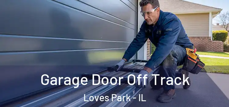  Garage Door Off Track Loves Park - IL