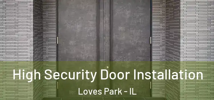 High Security Door Installation Loves Park - IL