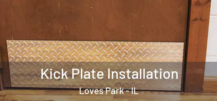 Kick Plate Installation Loves Park - IL
