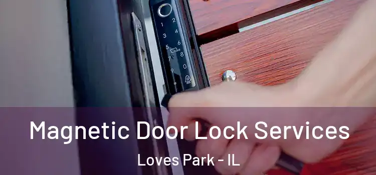 Magnetic Door Lock Services Loves Park - IL