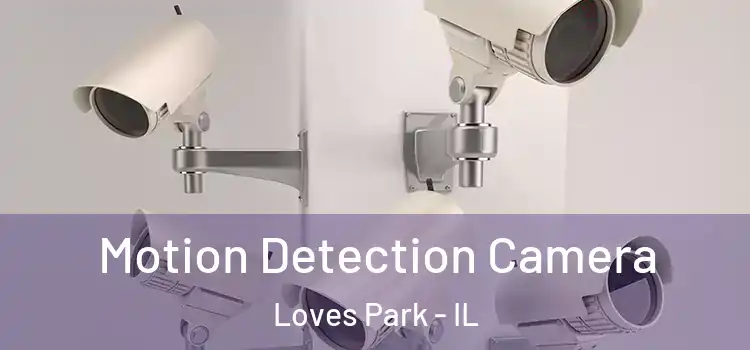  Motion Detection Camera Loves Park - IL