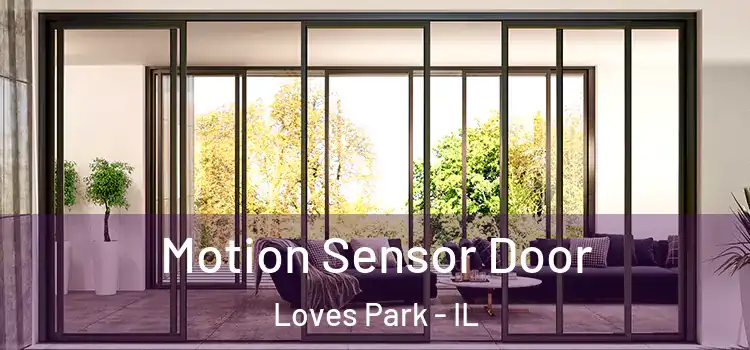 Motion Sensor Door Loves Park - IL