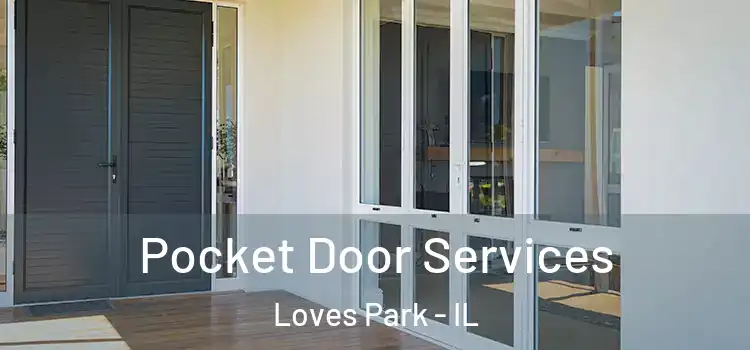 Pocket Door Services Loves Park - IL