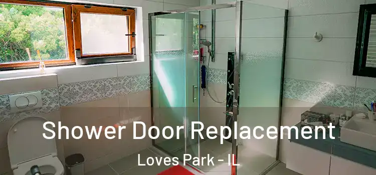 Shower Door Replacement Loves Park - IL