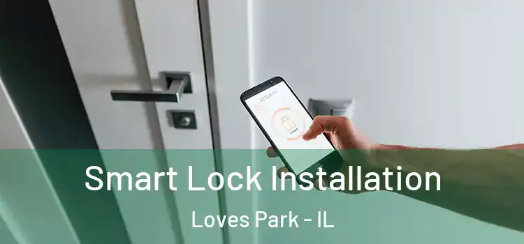  Smart Lock Installation Loves Park - IL